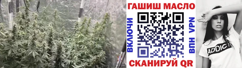 ТГК концентрат Благодарный